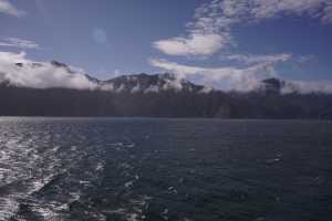 FIORDLAND-NATIONAL-PARK-2019 (204)